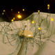Illustration for article titled Wind-Sensitive LED Dandelion Dress Is Made for Pretty Night Fairies